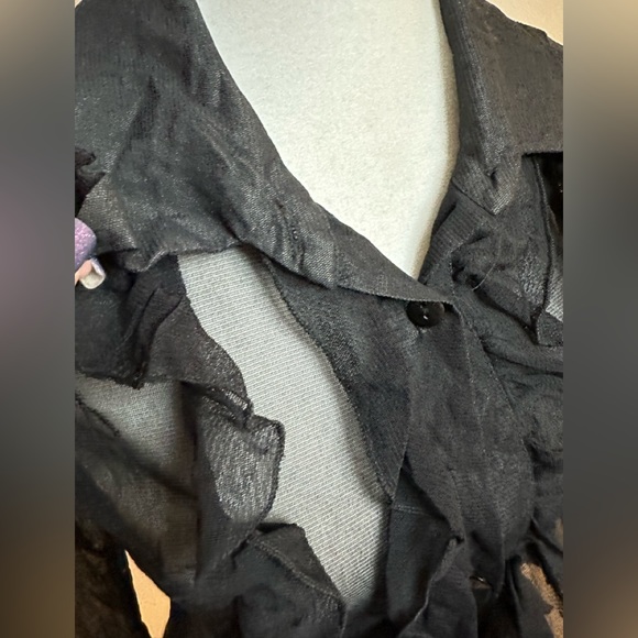 Zebra Sheer Vintage Ruffled Mesh Buttoned Blouse - Picture 2 of 12